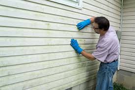 Best Stucco Siding  in Wlow Springs, IL